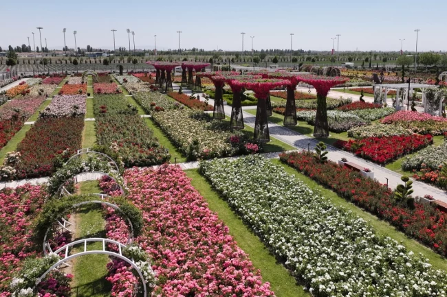 Konya'da Karatay Mevlana Gül Parkı kapılarını açtı