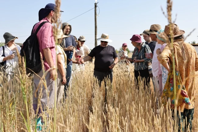 Slow Wheat Şanlıurfa 2025 coşkusu