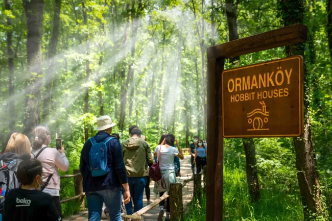 Ormanya'da yaz hazırlıkları tamam