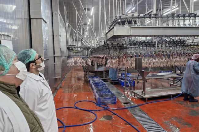 Sakarya'da kanatlı hayvan işletmelerine sıkı denetim