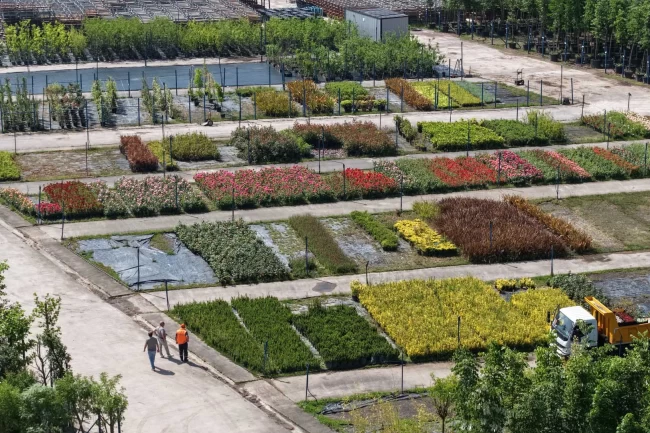 Kocaeli'yi yeşillendiren fidanlık