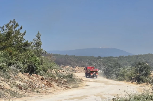 Bursa Nilüfer'de yangın! Söndürüldü