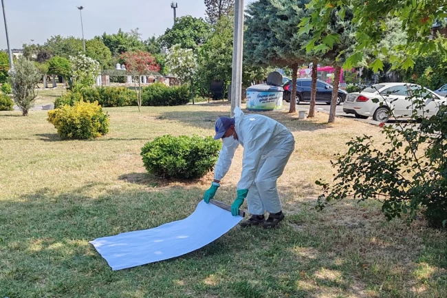 İstanbul Büyükşehir'den kene ile mücadele