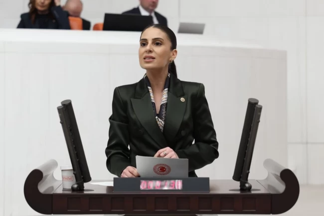 CHP'li Özcan'dan Dalaman Çayı uyarısı