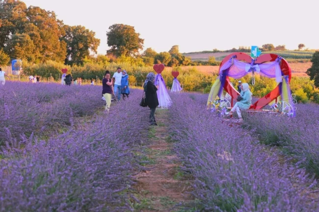 Lavanta kokusu İzmit'i saracak
