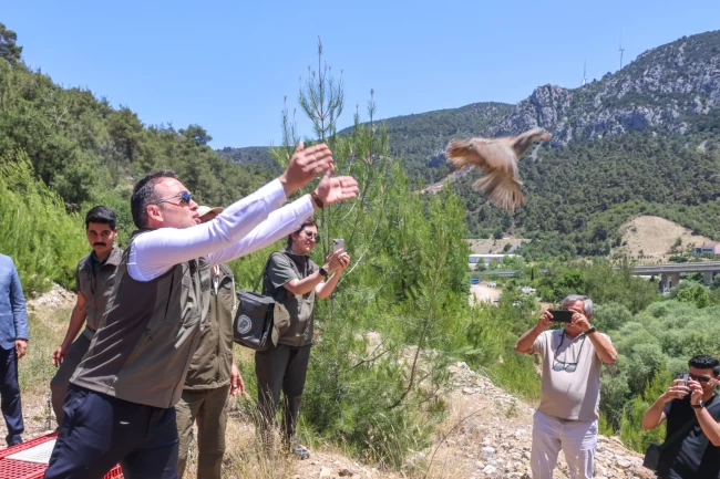 Bilecik'te 300 kınalı keklik doğaya salındı