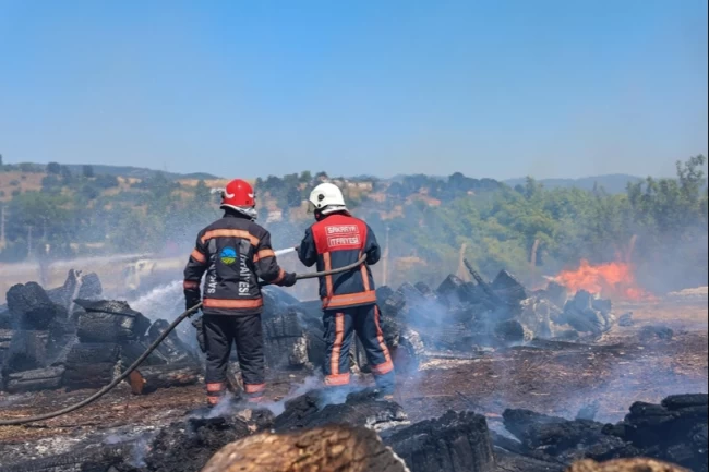 Sakarya Söğütlü'deki orman yangını kontrol altına alındı
