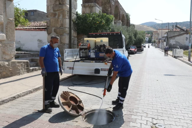 İzmir Efes Selçuk'ta kapsamlı ilaçlama seferberliği