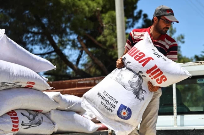 Antalya'da yem desteğiyle süt üretimine güçlü katkı