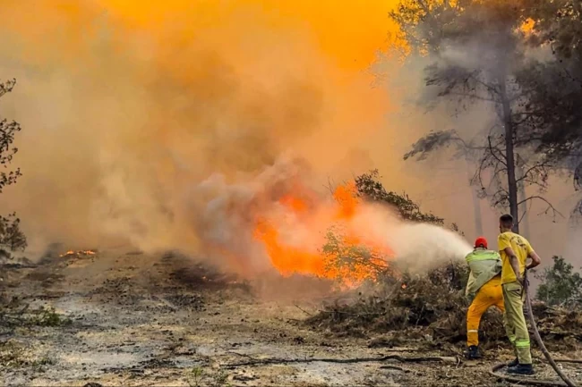 Türkiye'nin dört bir yanında orman yangınlarına karşı yoğun mücadele... Yeşil Vatan için özverili çalışma