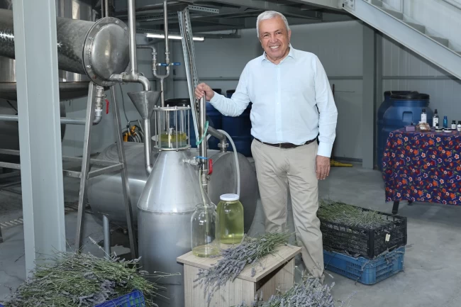 Bursa Nilüfer'de lavanta hasadı başladı