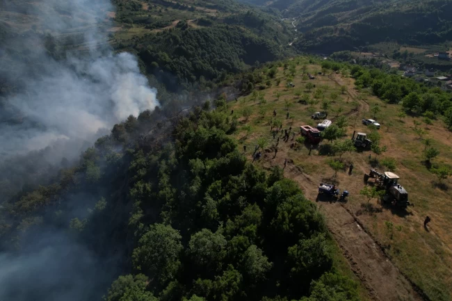 Düzce Yığılca'da orman yangını!