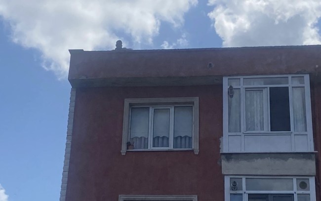 Kilimli’de intihar girişimi..