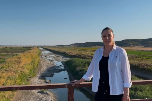 Edirne'de çeltik üreticileri alarm veriyor! Ergene Nehri kurudu, tarım tehdit altında