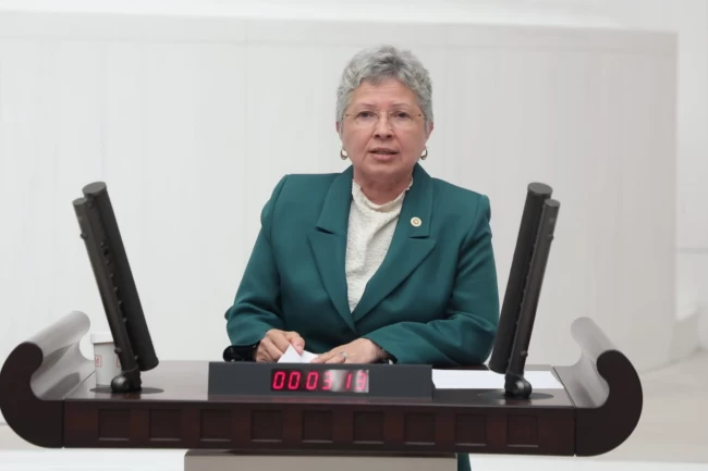 CHP'li Yontar'dan İklim Kanunu eleştirisi: Doğayı değil, sermayeyi kolluyor