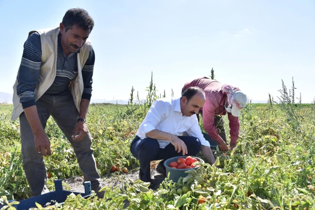 Konya'da 2026 için fidan ve fide desteği başvuruları başladı