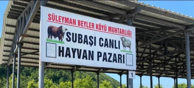 Subaşı Hayvan pazarında hayvan satışı yasaklandı