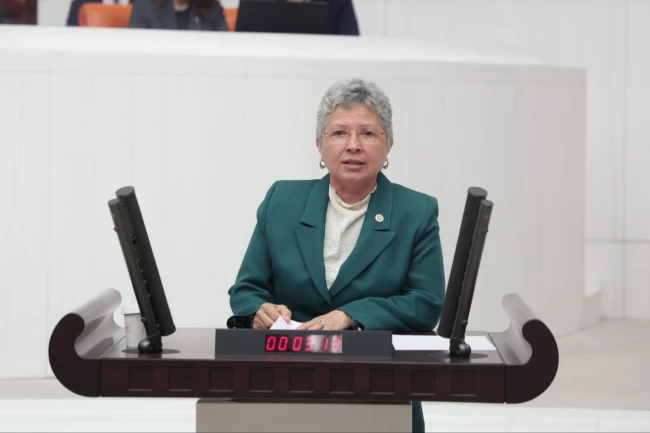 CHP'li Yontar: Zeytini kömüre feda etmek geleceğe ihanettir!