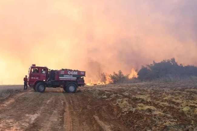 Son 1 haftada 624 orman yangını