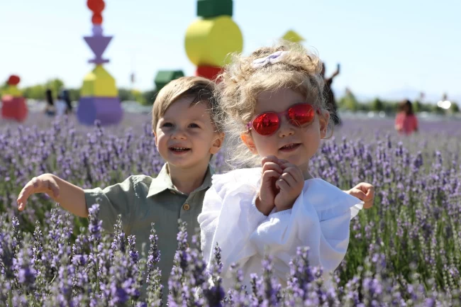 Türkiye'nin en büyük lavanta bahçesinde renk cümbüşü
