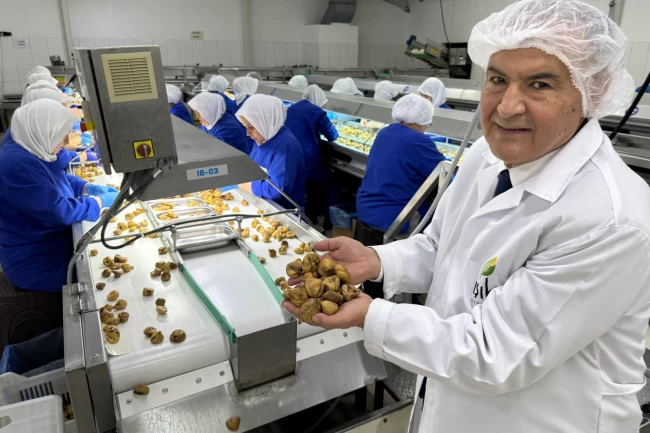 Kuru meyve sektöründe 12 şampiyonun 11'i Egeli