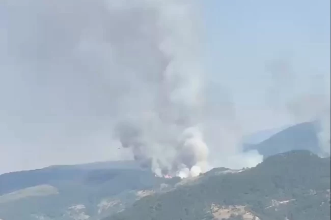 Balıkesir Sındırgı'da orman dışı alanda yangın!