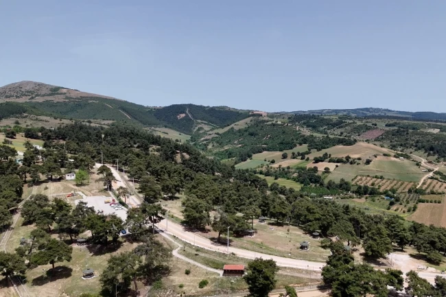 Başkan Ercan Özel: "Gönül rahatlığıyla Kozdere Çamlığı'nda piknik yapılabilir"