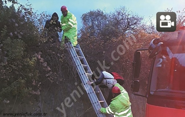 ORMANDA KAYBOLDULAR!