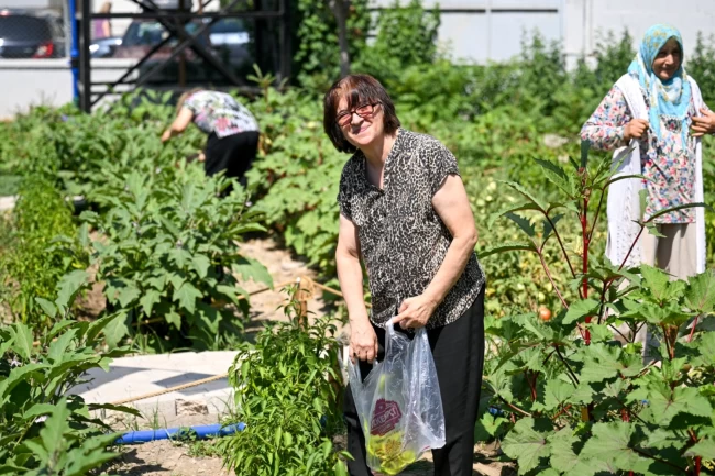 Bornova'da Kent Bostanları'nda hasat sevinci