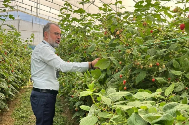 Bursa Kestel ve Gürsu'dan Sırbistan'a tarım çıkarması