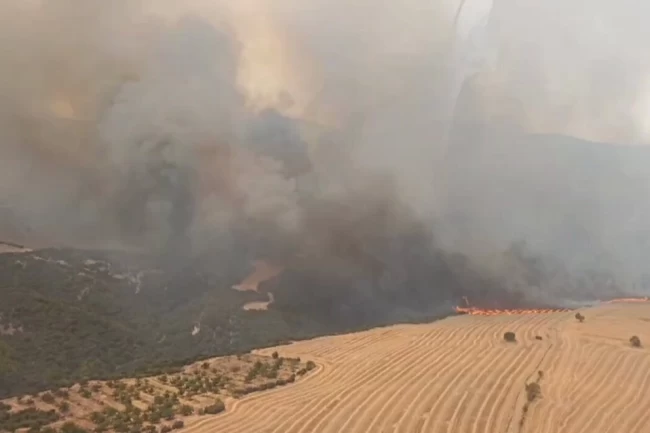 Manisa, Tekirdağ ve Çanakkale'de orman yangınlarına yoğun müdahale