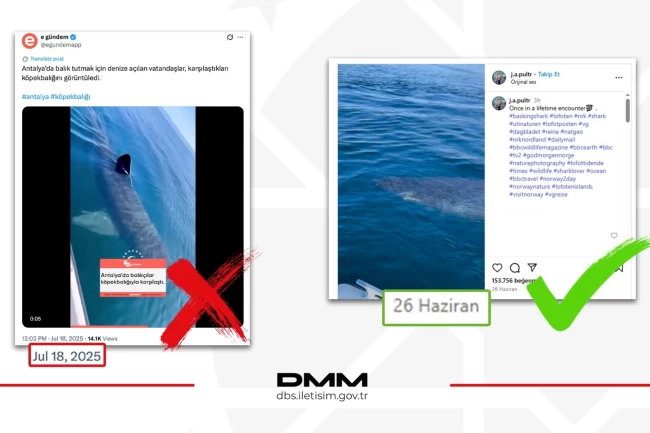 Antalya'da köpekbalığı iddiası dezenformasyon çıktı... DMM: O video Norveç'ten!
