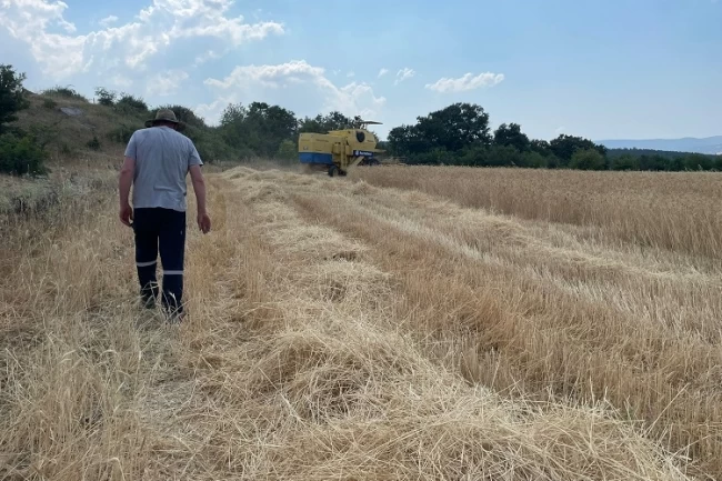 Bursa Büyükşehir'den kırsaldaki üreticiye biçerdöver desteği