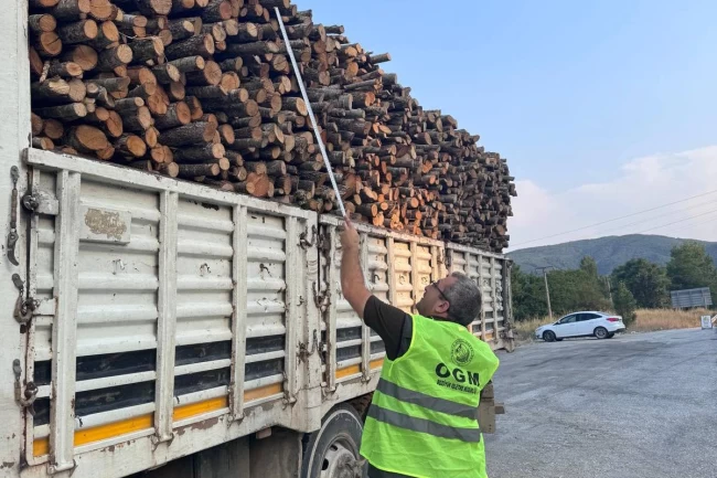 Bilecik Pazaryeri'nde orman emvali denetimi