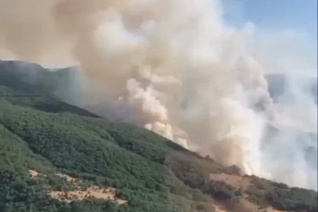 İzmir Bergama'daki yangın kontrol altında... Bilecik ve Sakarya'da müdahale sürüyor