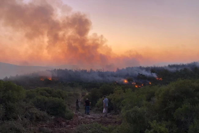 Urla'da yangın kontrol altına alındı