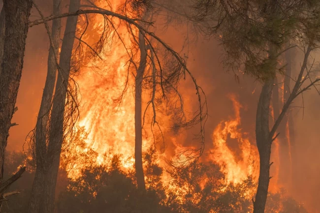 İzmir Gaziemir'deki yangın kontrol altına alınıyor