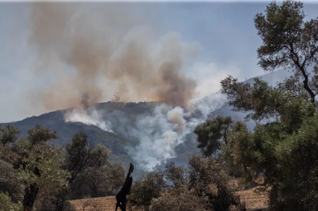 İzmir'in orman yangını risk haritası hazır