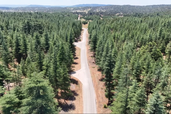 Mersin'in dağ yoluna asfalt dokunuşu