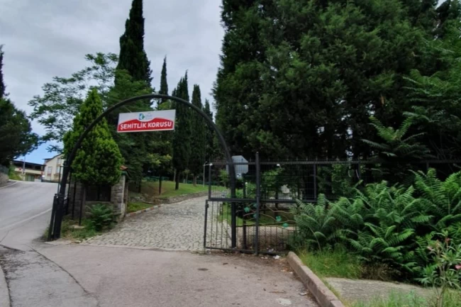 İzmit Şehitlik Korusu'nda mangal yasaklandı