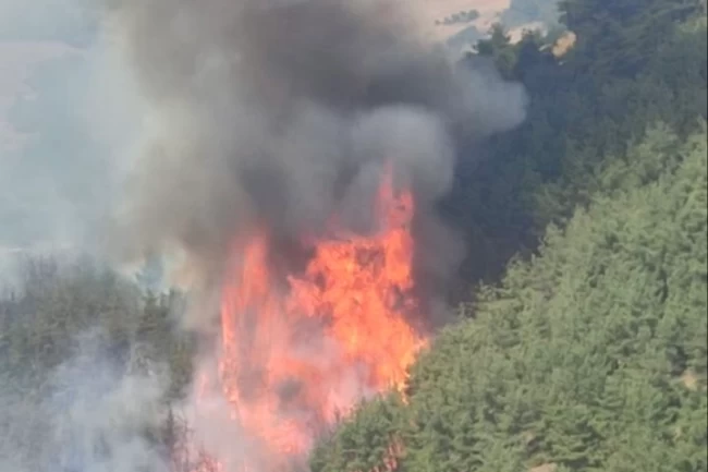 Bursa'da orman yangını güncel durum: Alevler yeniden şiddetlendi, çalışmalar sürüyor