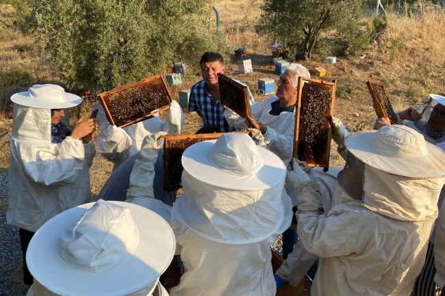 Manisa'da arıcılara uygulamalı eğitim desteği