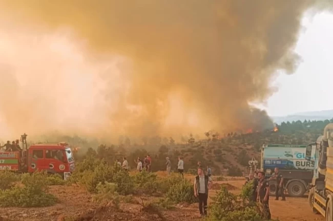Bursa Harmancık'taki Çakmak köyü korundu!