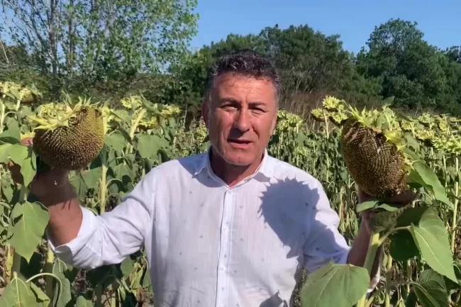 CHP'li Sarıbal'dan ayçiçeği üreticilerine destek çağrısı