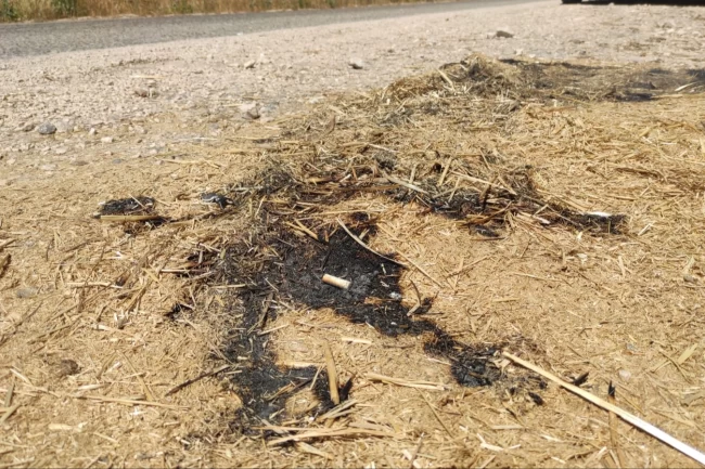 Bursa Yenişehir'de orman yangını son anda önledi