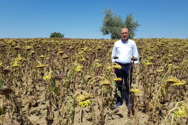 CHP Tekirdağ Milletvekili Aygun'dan kuraklık için yasa teklifi