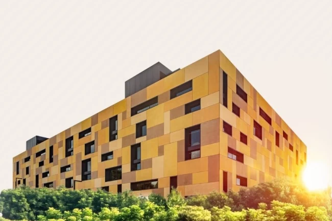 "Türk Çam Balı" coğrafi işaret ile tescillendi