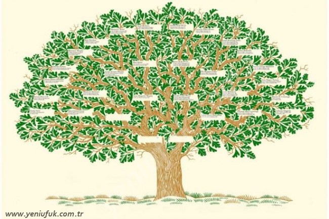 Dikkat! e Devlet sorgulama sonucunuzu paylaşmayın! Soy Ağacı sorgulamadaki tehlike…