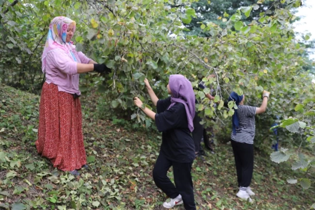 ‘Fındık Dalda Aklın İşçide Kalmasın' projesi 6. yılında