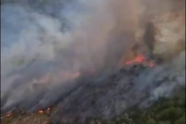 Muğla Seydikemer'de orman yangını